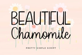 Beautiful Chamomile Font for Elegant Web Design